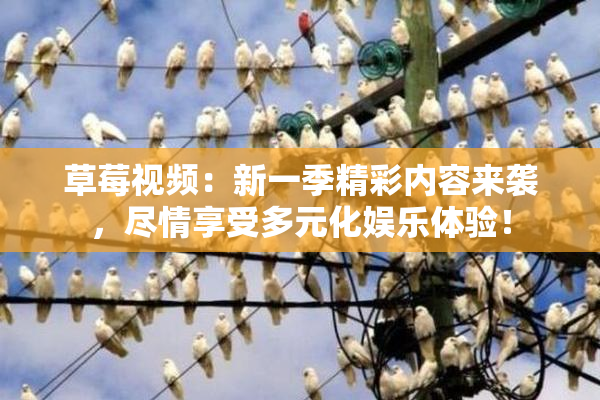 草莓视频：新一季精彩内容来袭，尽情享受多元化娱乐体验！