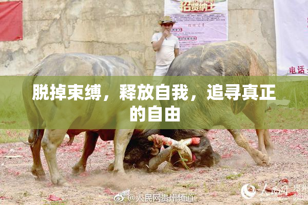 脱掉束缚，释放自我，追寻真正的自由