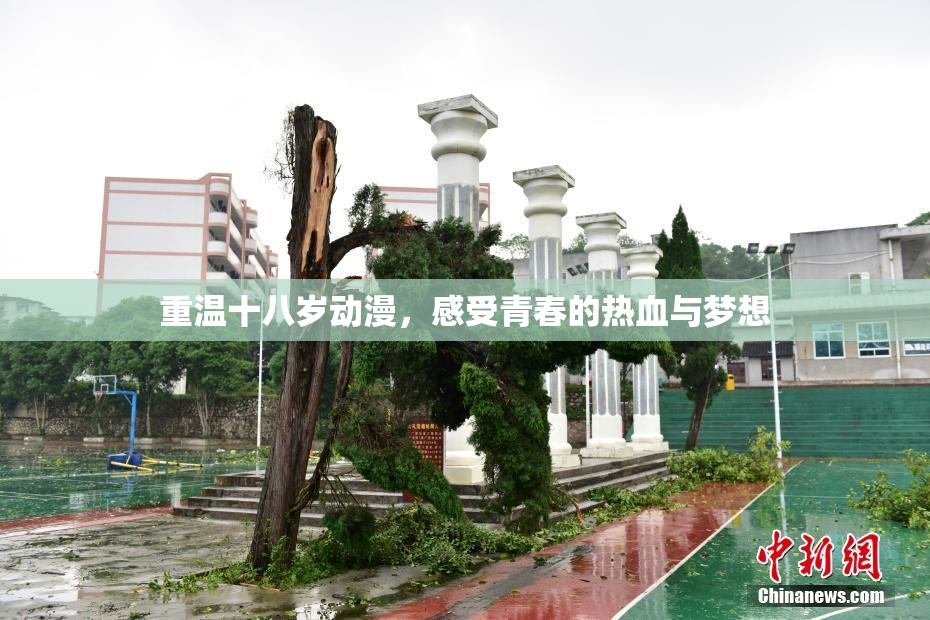 重温十八岁动漫，感受青春的热血与梦想