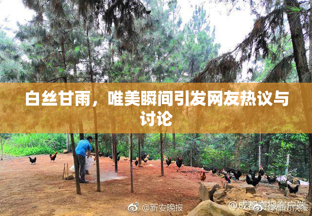 白丝甘雨，唯美瞬间引发网友热议与讨论