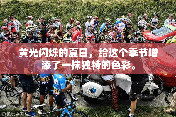 黄光闪烁的夏日，给这个季节增添了一抹独特的色彩。