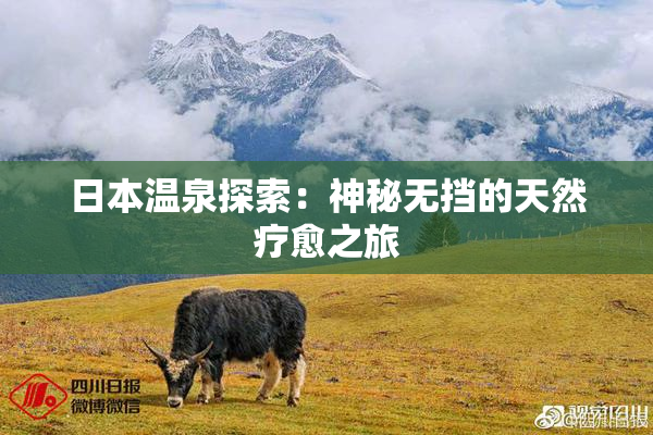 日本温泉探索：神秘无挡的天然疗愈之旅