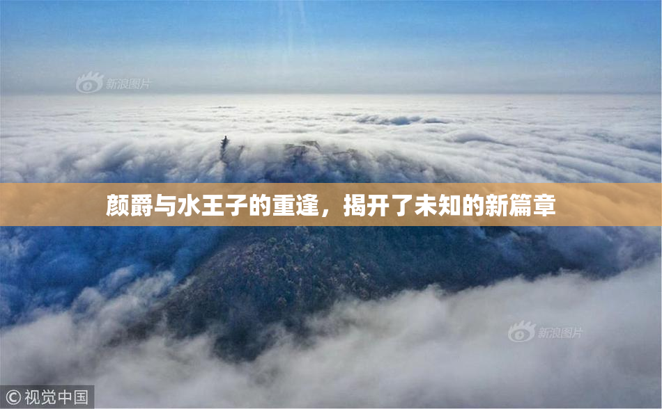 颜爵与水王子的重逢，揭开了未知的新篇章