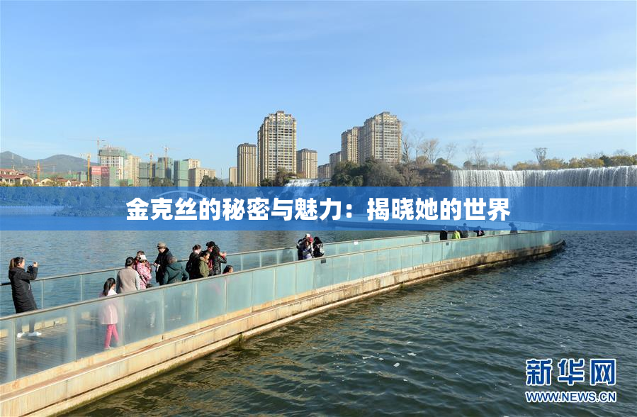 金克丝的秘密与魅力：揭晓她的世界