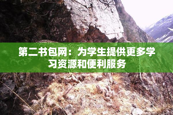 第二书包网：为学生提供更多学习资源和便利服务