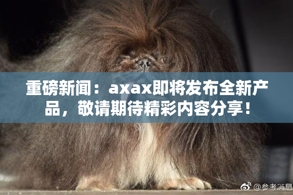 重磅新闻：axax即将发布全新产品，敬请期待精彩内容分享！