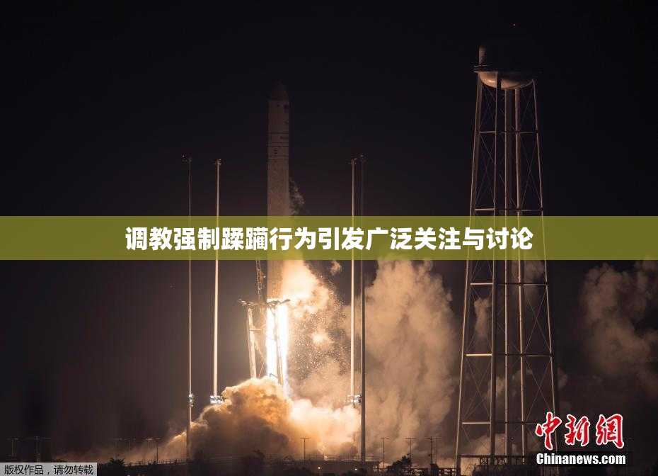 调教强制蹂躏行为引发广泛关注与讨论