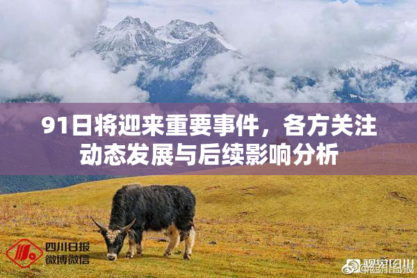 91日将迎来重要事件，各方关注动态发展与后续影响分析