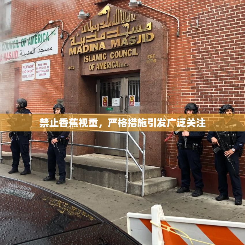 禁止香蕉视重，严格措施引发广泛关注