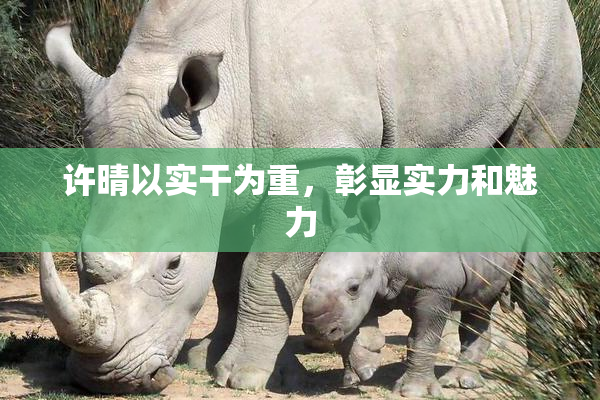 许晴以实干为重，彰显实力和魅力