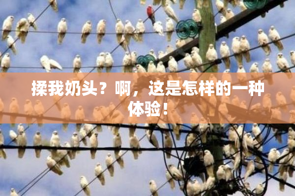 揉我奶头？啊，这是怎样的一种体验！