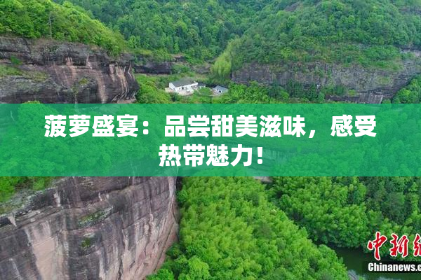 菠萝盛宴：品尝甜美滋味，感受热带魅力！
