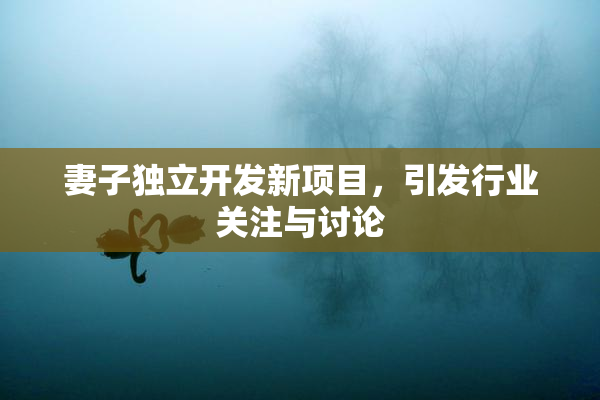 妻子独立开发新项目，引发行业关注与讨论