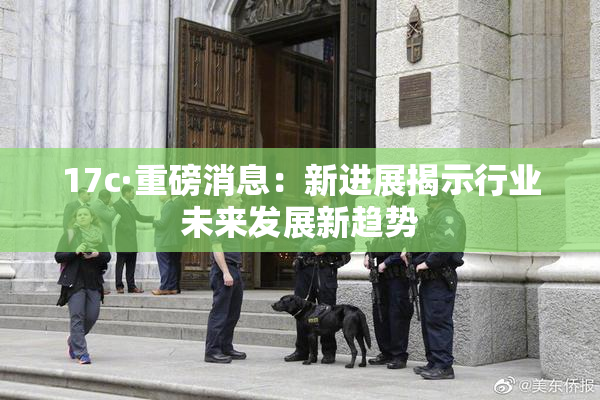 17c·重磅消息：新进展揭示行业未来发展新趋势