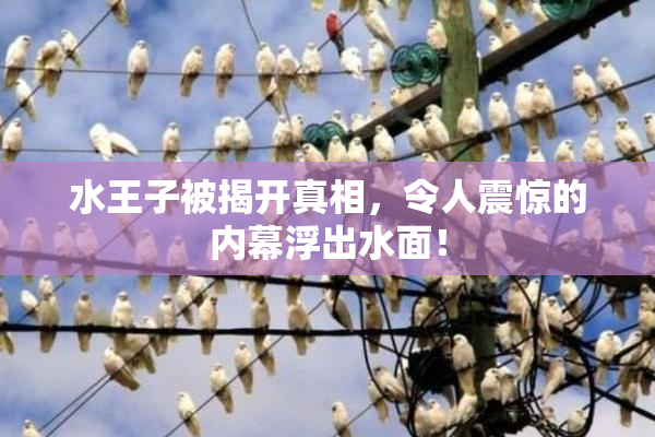 水王子被揭开真相，令人震惊的内幕浮出水面！