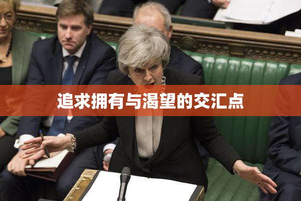 追求拥有与渴望的交汇点