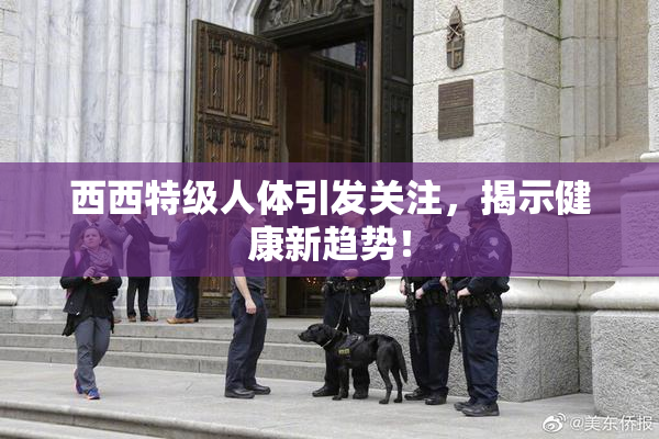 西西特级人体引发关注，揭示健康新趋势！