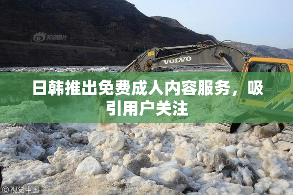 日韩推出免费成人内容服务，吸引用户关注