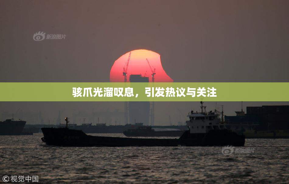 骇爪光溜叹息，引发热议与关注