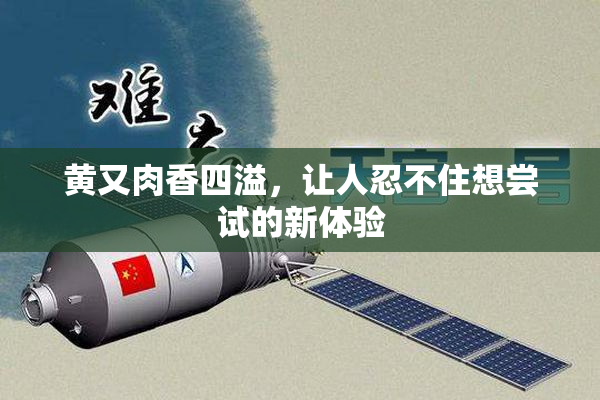 黄又肉香四溢，让人忍不住想尝试的新体验