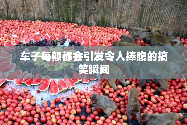 车子每颠都会引发令人捧腹的搞笑瞬间