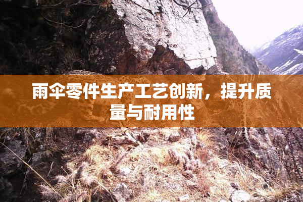 雨伞零件生产工艺创新，提升质量与耐用性