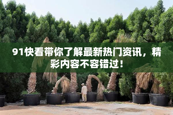 91快看带你了解最新热门资讯，精彩内容不容错过！