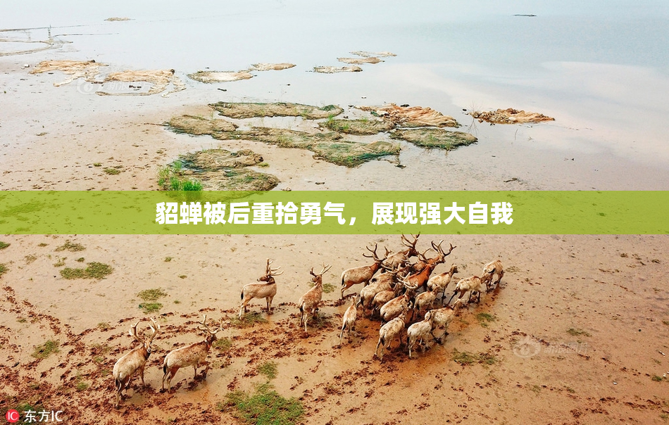 貂蝉被后重拾勇气，展现强大自我