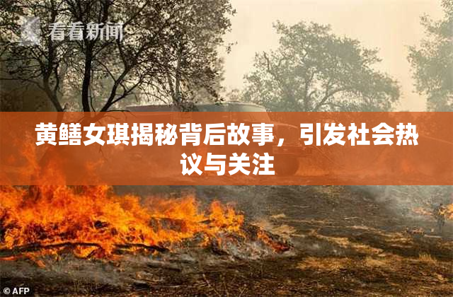 黄鳝女琪揭秘背后故事，引发社会热议与关注