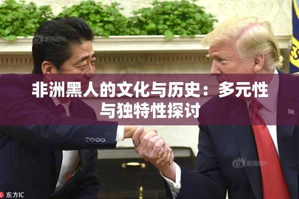 非洲黑人的文化与历史：多元性与独特性探讨