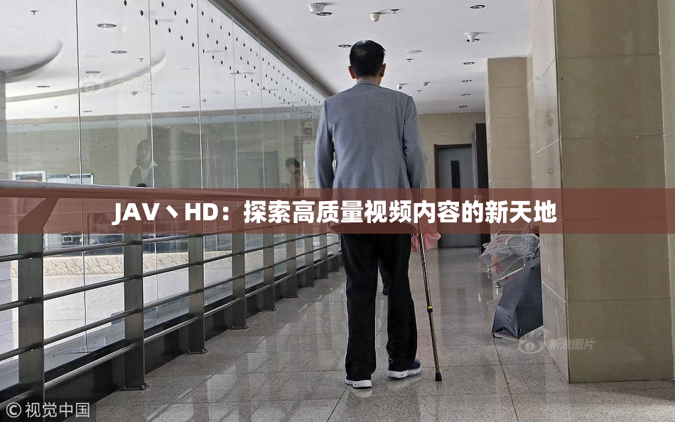 JAV丶HD：探索高质量视频内容的新天地