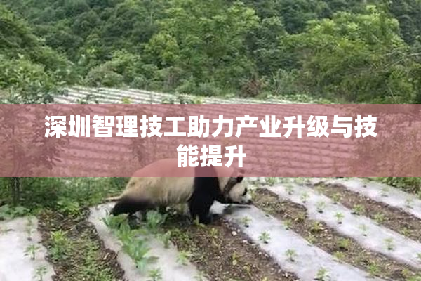 深圳智理技工助力产业升级与技能提升