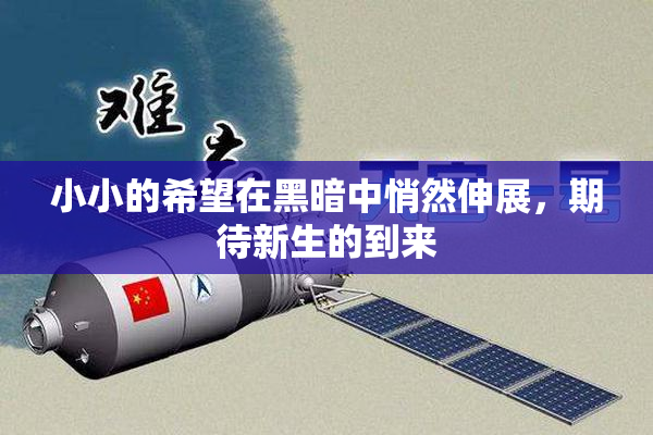 小小的希望在黑暗中悄然伸展，期待新生的到来