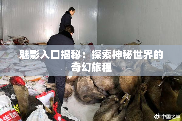 魅影入口揭秘：探索神秘世界的奇幻旅程
