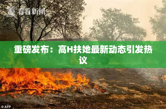 重磅发布：高H扶她最新动态引发热议