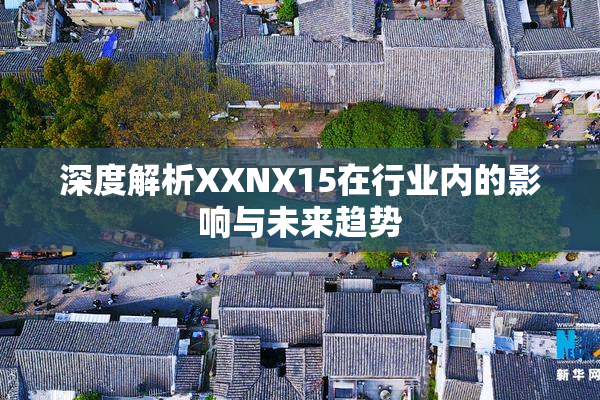 深度解析XXNX15在行业内的影响与未来趋势
