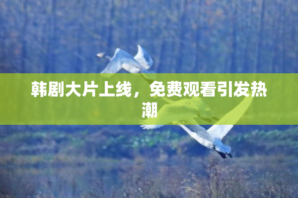 韩剧大片上线，免费观看引发热潮