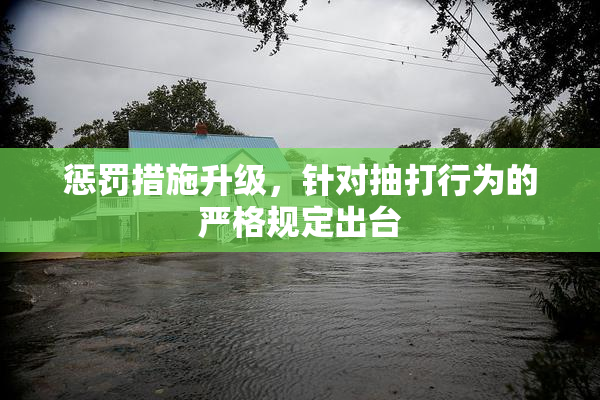 惩罚措施升级，针对抽打行为的严格规定出台
