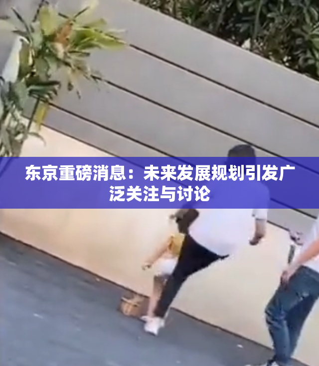 东京重磅消息：未来发展规划引发广泛关注与讨论