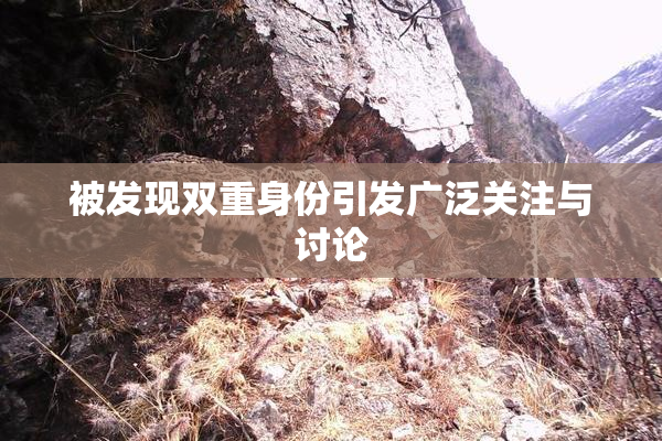 被发现双重身份引发广泛关注与讨论