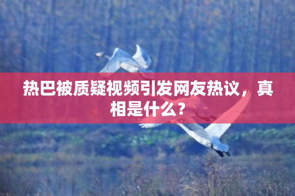 热巴被质疑视频引发网友热议，真相是什么？