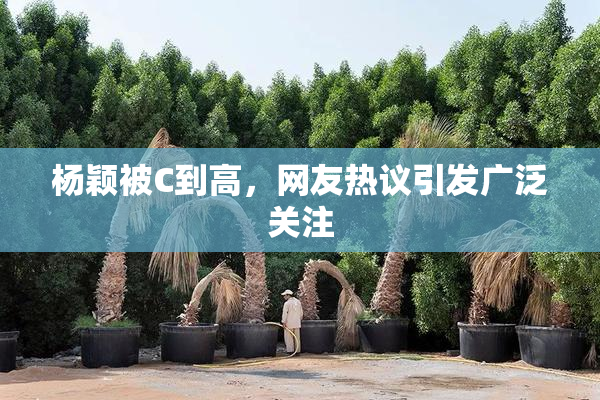 杨颖被C到高，网友热议引发广泛关注