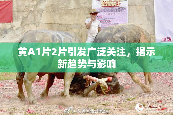 黄A1片2片引发广泛关注，揭示新趋势与影响