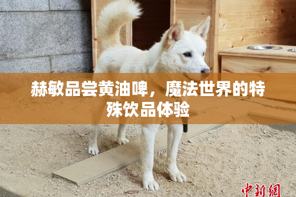 赫敏品尝黄油啤，魔法世界的特殊饮品体验