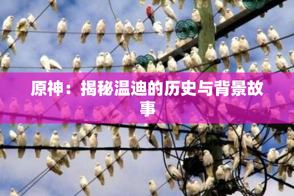 原神：揭秘温迪的历史与背景故事