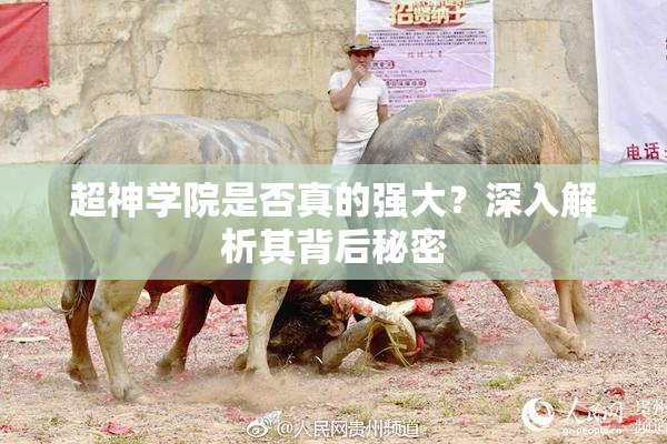 超神学院是否真的强大？深入解析其背后秘密