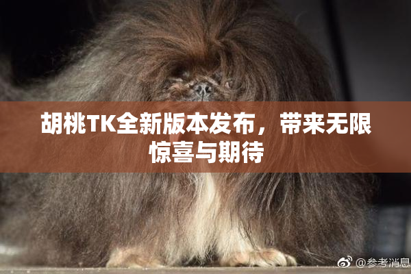 胡桃TK全新版本发布，带来无限惊喜与期待
