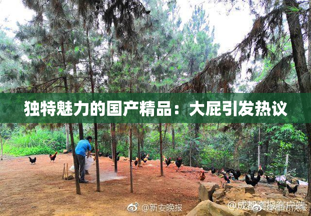 独特魅力的国产精品：大屁引发热议