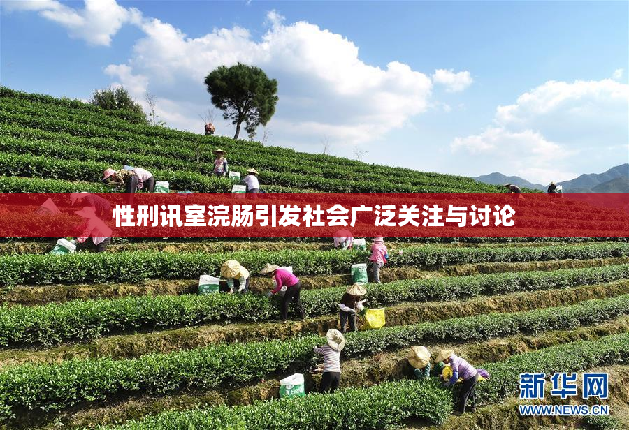 性刑讯室浣肠引发社会广泛关注与讨论