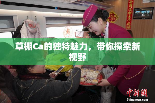 草棚Ca的独特魅力，带你探索新视野